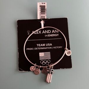 Alex and Ani Team USA Silver Sled